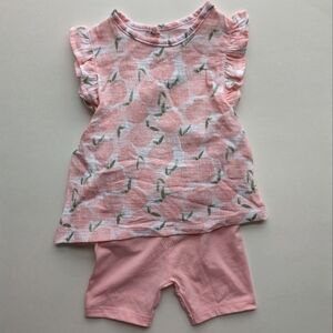 Sterling Baby Ruffle Top Sleeveless Elastic Waist Pant 2 Piece Set Pink Whi- 24m